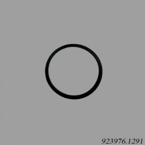 Kalmar Reach Stacker 923976.1291 Seal Ring