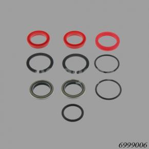 Hyster Reach Stacker 6999006 Twistlock Cylinder Repair Kit