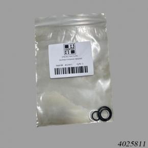 Hyster Reach Stacker HY4025811 Seal Kit