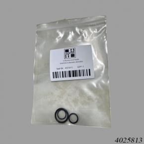 Hyster Reach Stacker HY4025813 Seal Kit