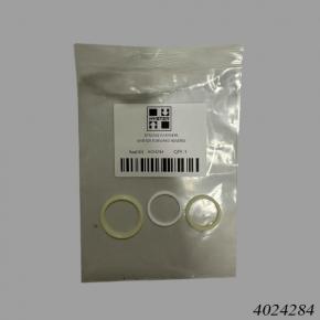 Hyster Forklift HY4024284 Seal Kit