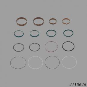 Hyster Reach Stacker HY4110646 Seal Kit