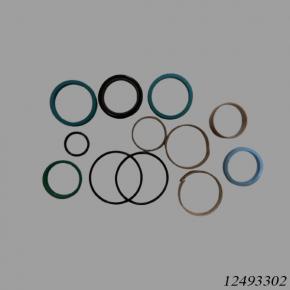Sany Reach Stacker 12493302 Seal Kit