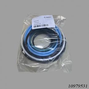 Sany Reach Stacker 10979531 Seal Kit