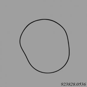 Kalmar Reach Stacker 923828.0536 O-Ring