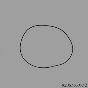 Kalmar Reach Stacker 923855.0752 O-Ring