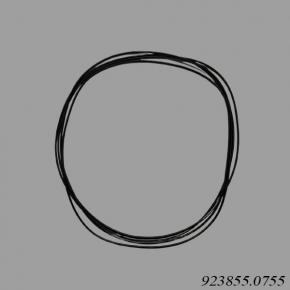 Kalmar Reach Stacker 923855.0755 O-Ring