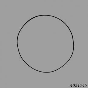 Hyster Reach Stacker HY4021745 O-Ring