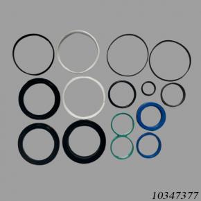 Sany Reach Stacker 10347377 Seal Kit