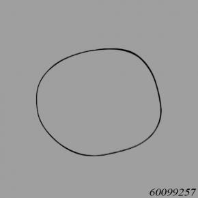 Sany Reach Stacker 60099257 O-Ring