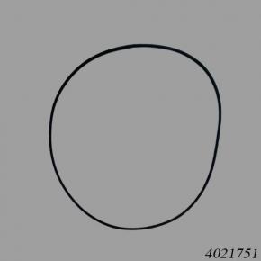 Hyster Reach Stacker 4021751 O-Ring