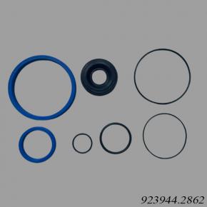 Kalmar Reach Stacker 923944.2862 Seal Kit