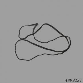 Cummins Engine 4899231 Lever Housing Gasket