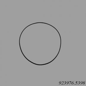 Kalmar Reach Stacker 923976.5398 O-Ring