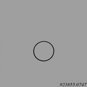 Kalmar Reach Stacker 923855.0747 O-Ring