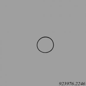 Kalmar Reach Stacker 923976.2246 O-Ring