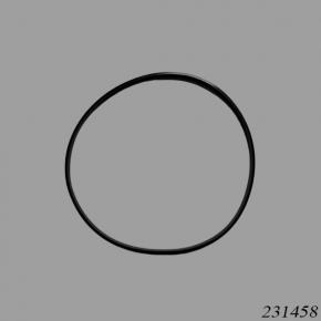 Dana Spicer 231458 Seal Ring