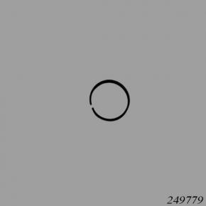Dana Spicer 249779 Piston Ring