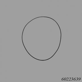 Sany 60223639 O-Ring
